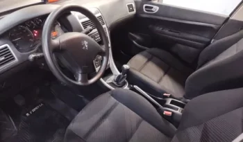 Peugeot 307 1.6 Xs 110cv Mp3 full
