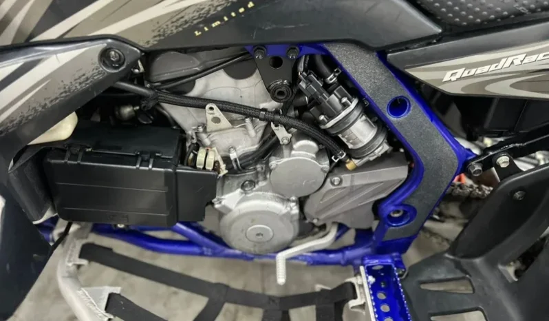 
								Cuatriciclo Suzuki 450 R 2009 full									