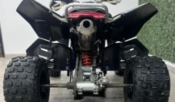 
										Cuatriciclo Suzuki 450 R 2009 full									