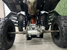 Cuatriciclo Suzuki 450 R 2009