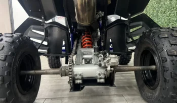 
										Cuatriciclo Suzuki 450 R 2009 full									