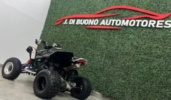 
										Cuatriciclo Suzuki 450 R 2009 full									