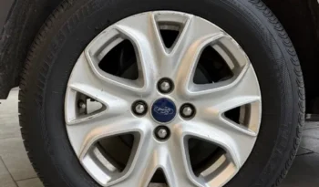
										Ford Ecosport 2.0 Titanium Powershift 4×2 Dps6 full									
