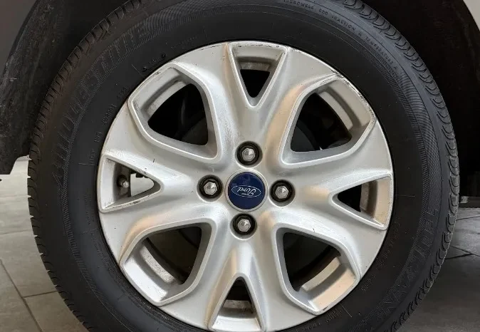 
								Ford Ecosport 2.0 Titanium Powershift 4×2 Dps6 full									